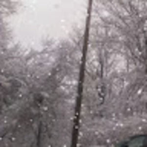 Meet your Posher, Joann